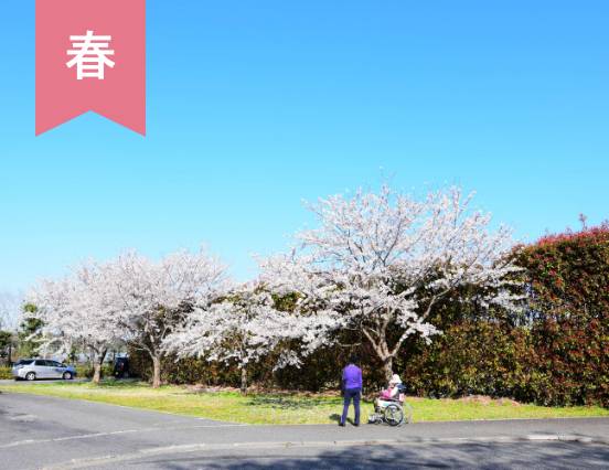 ひな祭り・お花見・お菓子作り